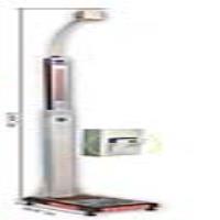 باسکول نفرکش سهند مدل bs 88