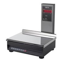 ترازو پستی پند مدل PX3000