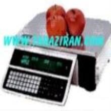ترازوی DIGI مدل SM100