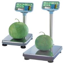 باسکول استیل ساتریو مدل MAX-P200